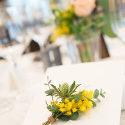 アルジェントの写真21枚目