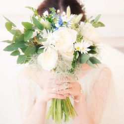 アルジェントの写真18枚目