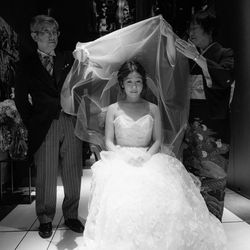 アルジェントの写真16枚目