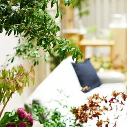 TRUNK HOTELの写真1枚目