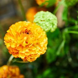 TRUNK HOTELの写真36枚目