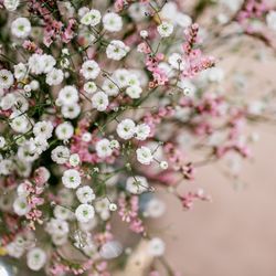 ザ・ルイガンズ スパ&リゾートの写真36枚目