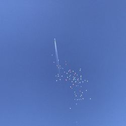 ラソールガーデン大阪の写真7枚目