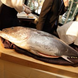 リビエラ青山の写真17枚目