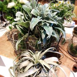 リビエラ青山の写真2枚目