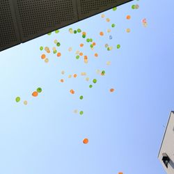 リビエラ青山の写真17枚目