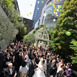 リビエラ青山の写真34枚目