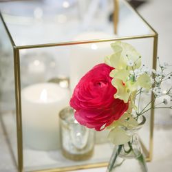 ルーキスの写真26枚目