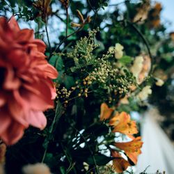 山手十番館ウエディング ハウス&ガーデンの写真1枚目