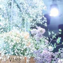 宮の森フランセス教会の写真16枚目