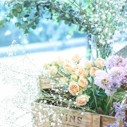 宮の森フランセス教会の写真12枚目