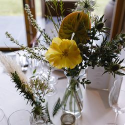 アマンダンテラスの写真4枚目