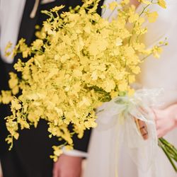 クアンティックの写真30枚目