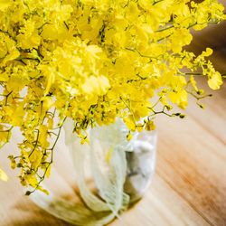 クアンティックの写真17枚目