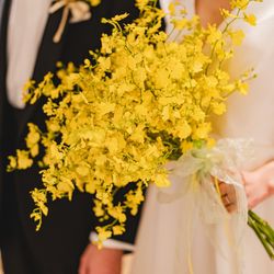 クアンティックの写真10枚目