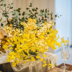 クアンティックの写真26枚目