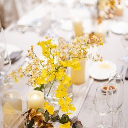 クアンティックの写真34枚目