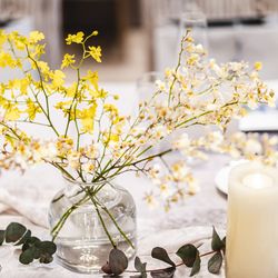 クアンティックの写真18枚目