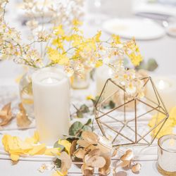 クアンティックの写真15枚目