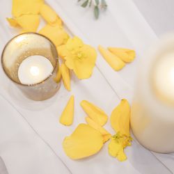 クアンティックの写真24枚目