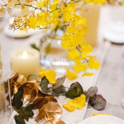 クアンティックの写真10枚目