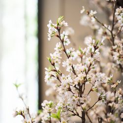 キンプトン新宿東京の写真24枚目