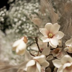 キンプトン新宿東京の写真14枚目