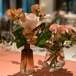 クラシカ表参道の写真34枚目