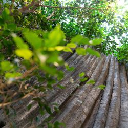 クラシカ表参道の写真24枚目