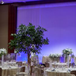 ANAインターコンチネンタルホテル東京の写真20枚目