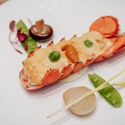 The Place of Tokyoの写真32枚目