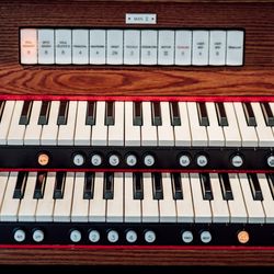 The Place of Tokyoの写真16枚目