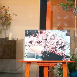 アマンダンテラスの写真9枚目