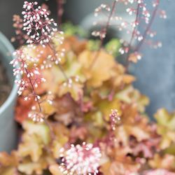 Natural Wedding 北堀江 mothersの写真11枚目