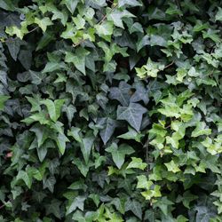 Natural Wedding 北堀江 mothersの写真1枚目