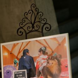 パラッツォ ドゥカーレ 麻布の写真6枚目