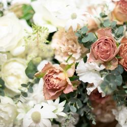 ノートルダム大阪ONEの写真13枚目