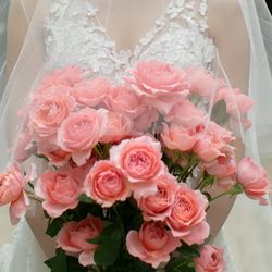 ザ・ガーデンオリエンタル大阪の写真12枚目