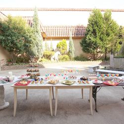 プリムローズの写真32枚目