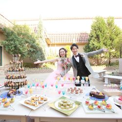 プリムローズの写真22枚目