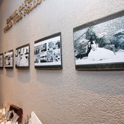 プリムローズの写真4枚目