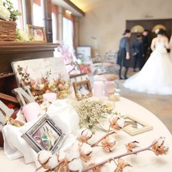 プリムローズの写真6枚目