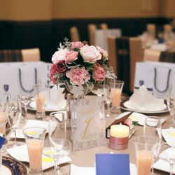 プリムローズの写真14枚目