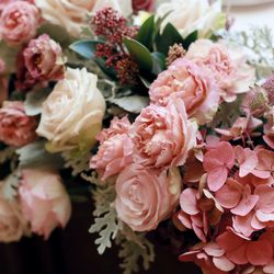 プリムローズの写真8枚目