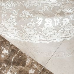 プリムローズの写真14枚目