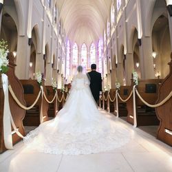 プリムローズの写真12枚目