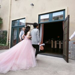 プリムローズの写真3枚目