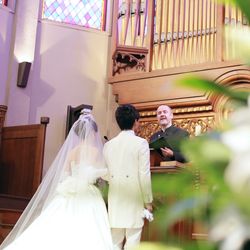 プリムローズの写真18枚目