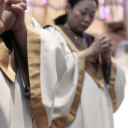 プリムローズの写真19枚目