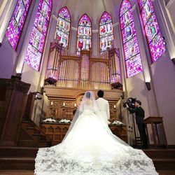 プリムローズの写真20枚目